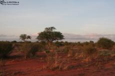 IMG 7592-Kenya, dawn at Tsavo East